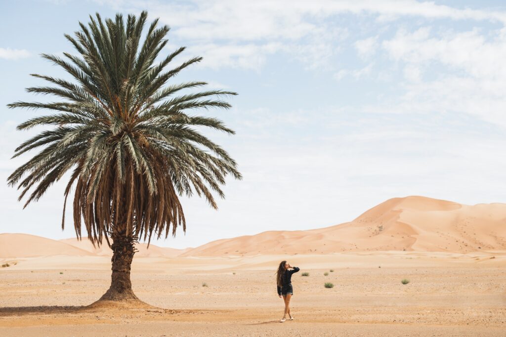 Woman walking in beautiful desert with sand dunes and one lonely palm. Travel in Morocco, Sahara
